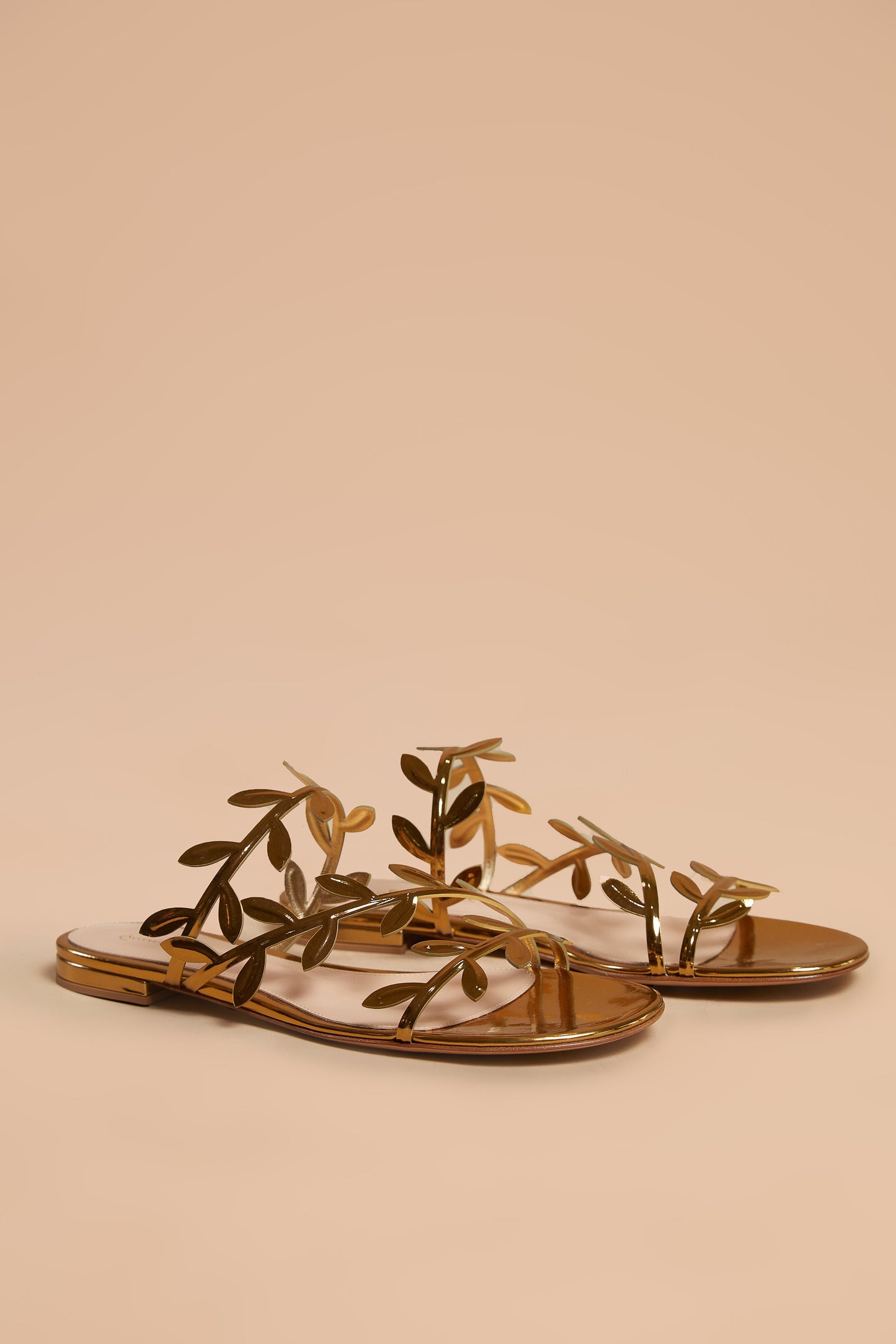 Gianvito Rossi